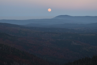 The hunter's moon over a landscape of trees and rolling hills