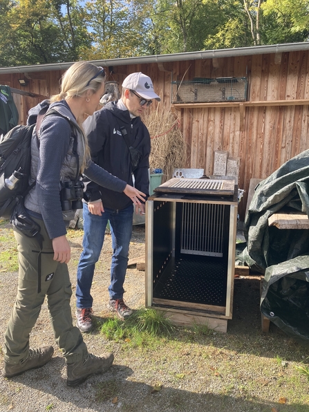 A member of The Missing Lynx Project team being shown a lynx transport box: a wooden container for holding lynx