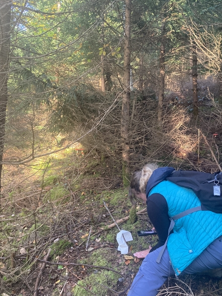 A member of the team kneels on the ground in a forest, studying the forest floor