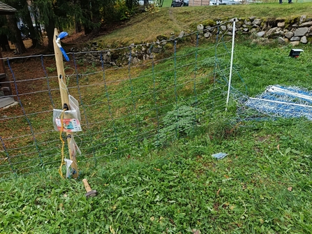 An electric fence set up to deter lynx