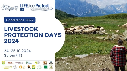 A poster for the livestock protection conference, including a photo of sheep in an alpine field