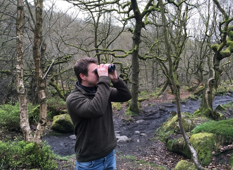 A man in a woodland, looking through binoculars at something in the distance